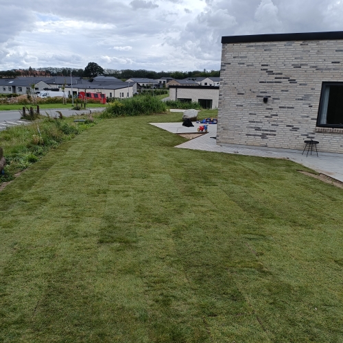 anlægning af græsplæne af havemand