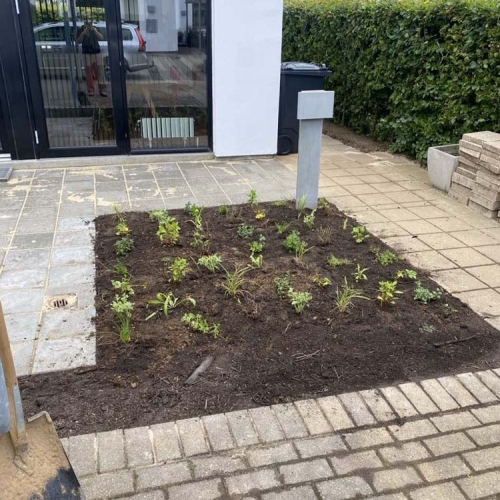 Lugning af ny beplantning