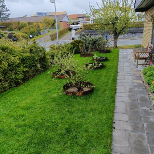 Haverenovering af forhave