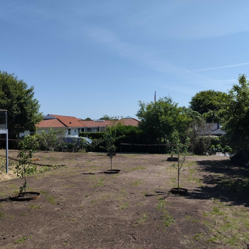 Haverenovering og nyanlæg af træer