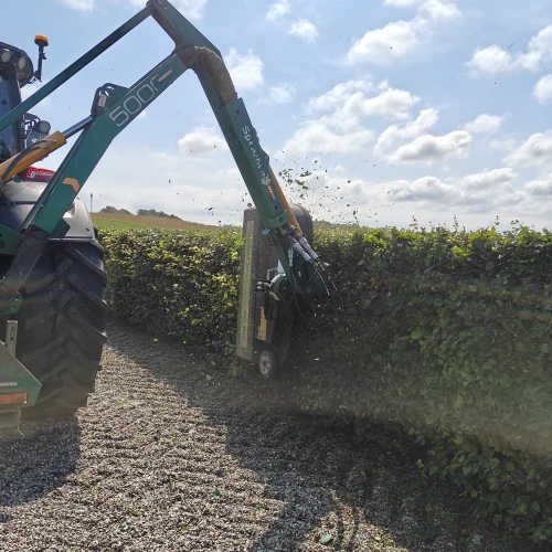 Klipning af hæk ved grus