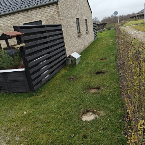 Trykluftgrubning af græsplæne