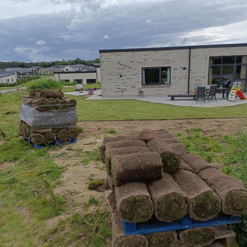 Havemand anlægger ny græsplæne