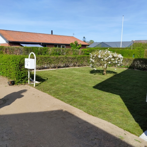Haverenovering og nyanlæg af græsplæne