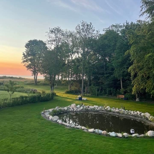 Haverenovering med havedam