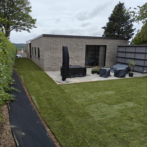 Nyanlæg af have og græsplæne