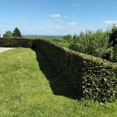 Hækklipning og havepleje