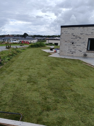 anlægning af græsplæne af havemand