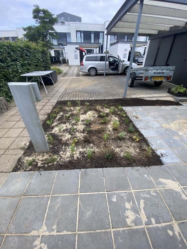 Lugning af beplantning