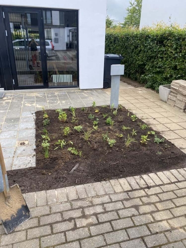 Lugning af ny beplantning