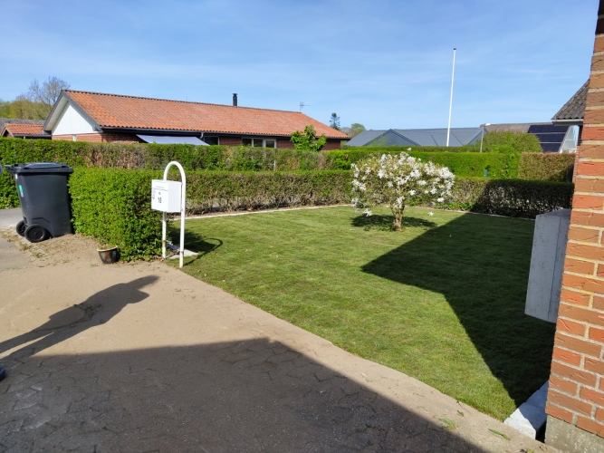 Haverenovering og nyanlæg af græsplæne