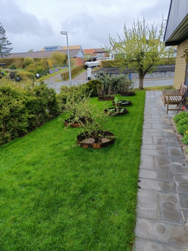 Haverenovering af forhave