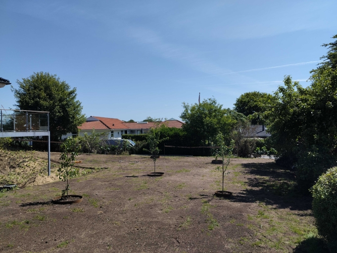 Haverenovering og nyanlæg af træer