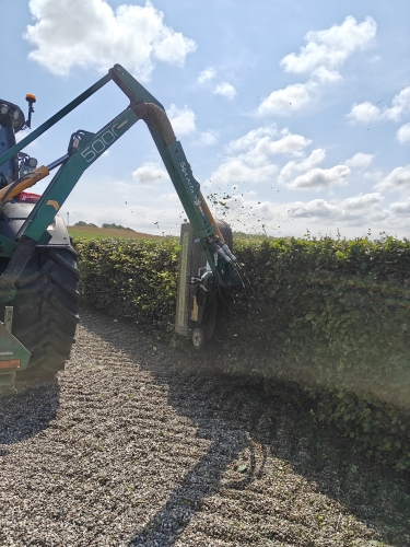 Klipning af hæk ved grus