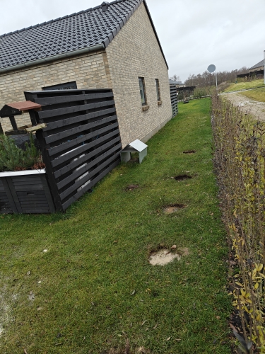 Trykluftgrubning af græsplæne