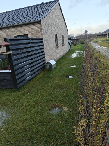 Trykluftgrubning af plæne