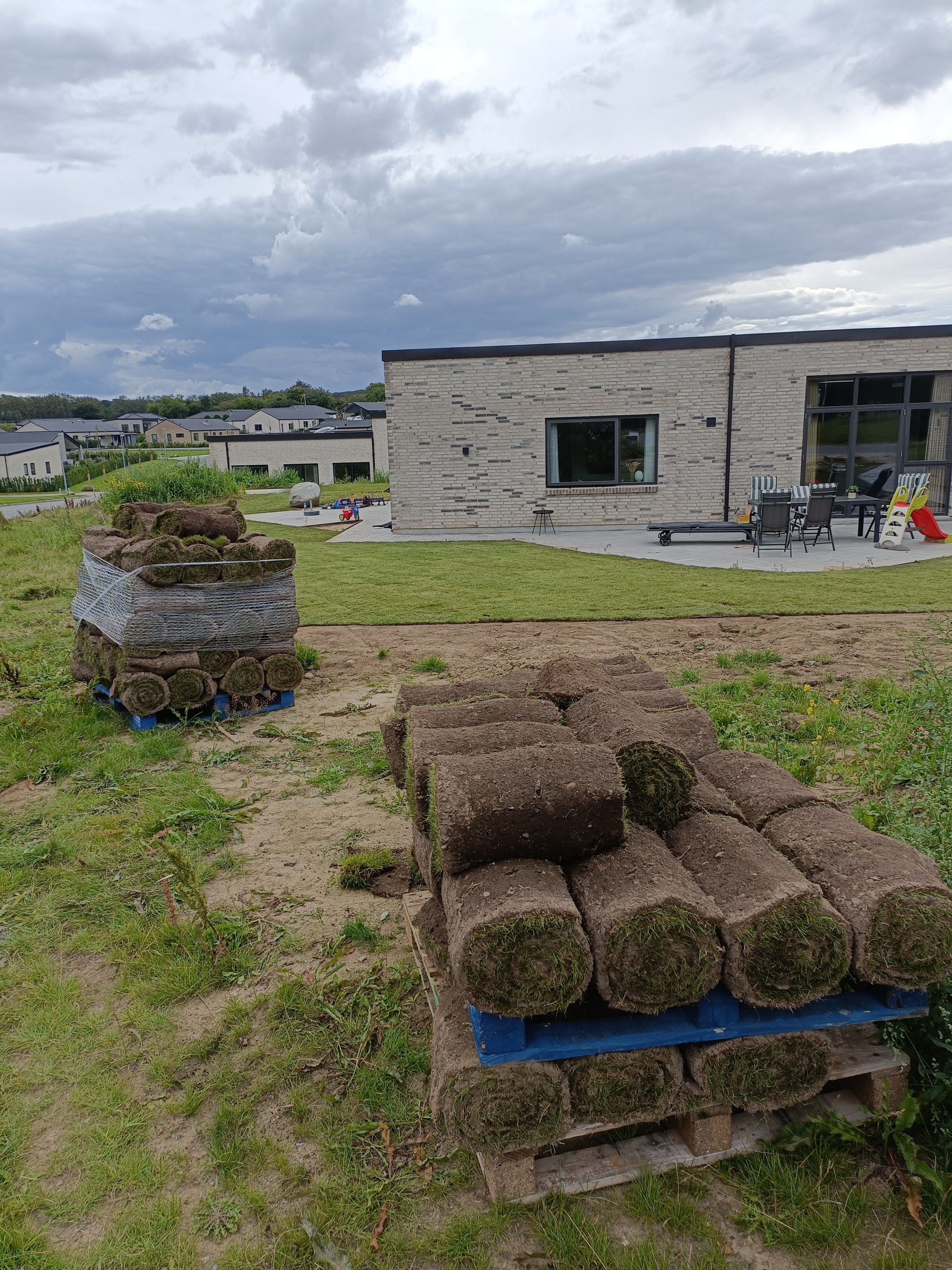 Havemand anlægger ny græsplæne